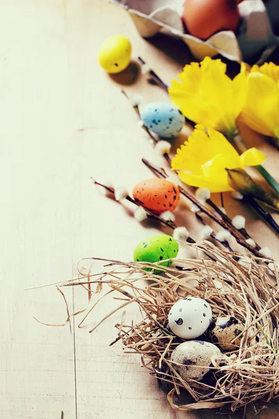 Easter decoration with quail eggs — Stock Photo, Image