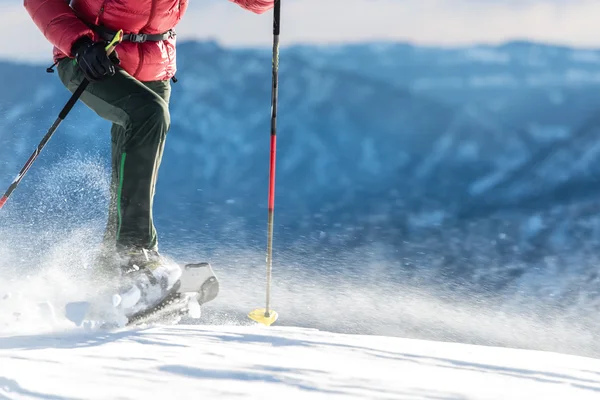 Caminar con raquetas de nieve en un día ventoso — Foto de Stock