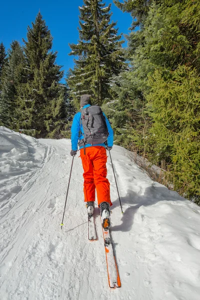 En man får på skidor och sälskinn — Stockfoto