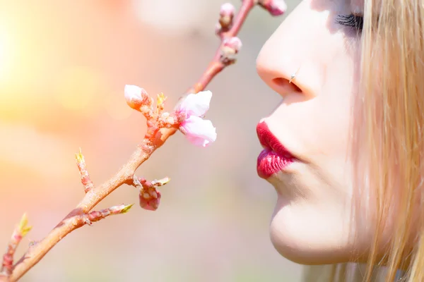 Kuss des Frühlings — Stockfoto