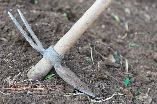 Hoe vegetable garden — Stock Photo, Image