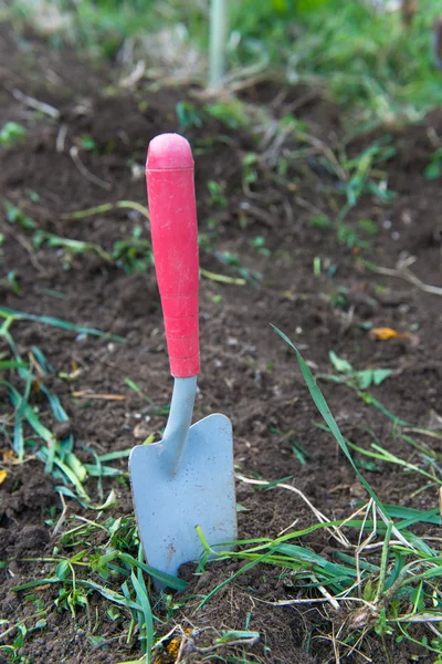 Scoop garden planted in the ground — Stock Photo, Image