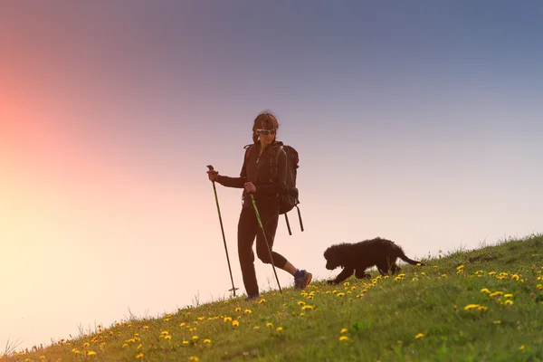 女の子は彼の犬が付いている山で歩く — ストック写真