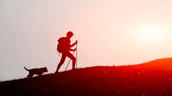 女の子は彼の犬が付いている山で歩く — ストック写真