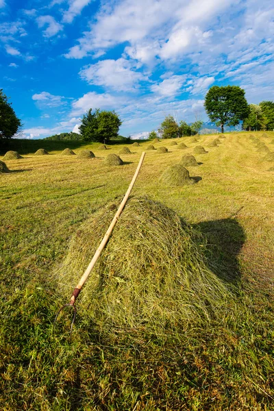 Bales of hay ready handmade with rake — Stock Photo, Image