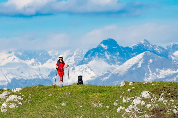 女性は彼女の犬友達と山の中を歩く — ストック写真