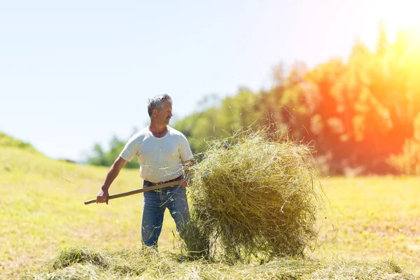 Woman farmer turns the hay with a hay fork — Stock Photo, Image
