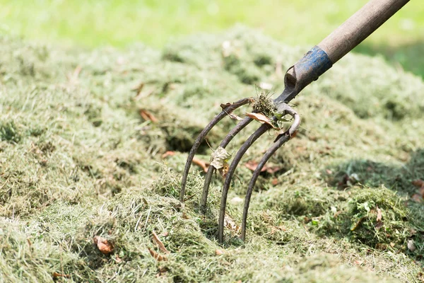 Pitchfork farmer in hay — Stock Photo, Image