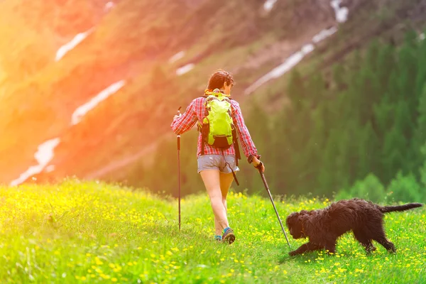 彼の犬と一緒に山でのハイキング — ストック写真
