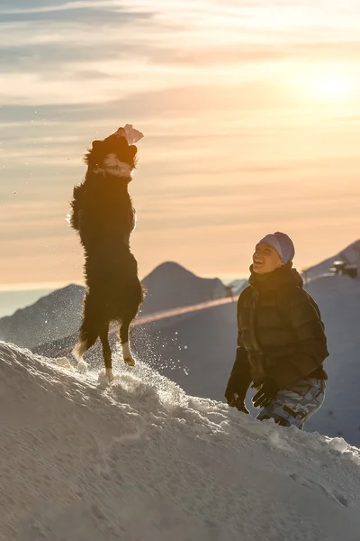 Border collie hond spelen in de sneeuw met zijn maîtresse — Stockfoto