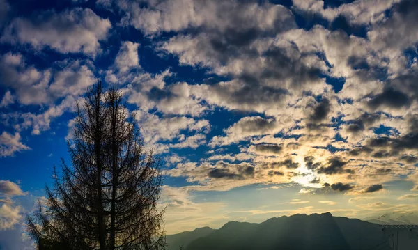 Árvore Abeto Silhueta Com Céu Cintilante Por Sol — Fotografia de Stock