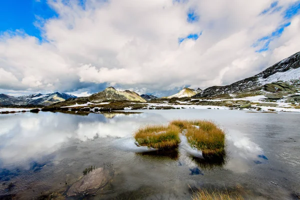 小さな高山湖の中の草の鎖 — ストック写真