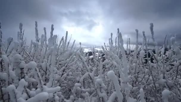 Neve Plantas Baixas Nas Montanhas Com Vento Vistas Das Aldeias — Vídeo de Stock