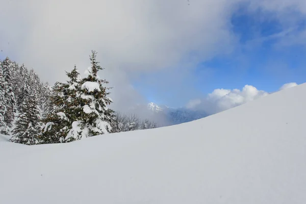 Depois Neve Pesada Céu Começa Acalmar — Fotografia de Stock