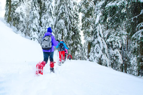 Escursione Con Gli Amici Con Ciaspole Dopo Pesanti Nevicate — Foto Stock