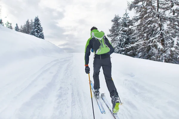 Tek Başına Gezen Bir Kayakçı — Stok fotoğraf