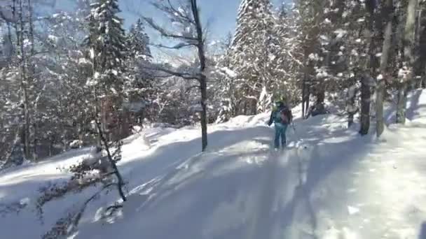 雪の森の中のフリーライドスキーヤー スローモーションで — ストック動画