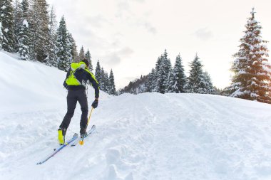 Man uphill on skis with skins underneath clipart
