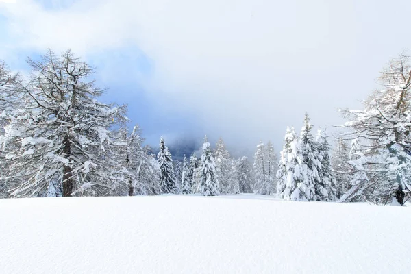 Sprookje Winter Besneeuwd Landschap Italiaanse Alpen — Stockfoto