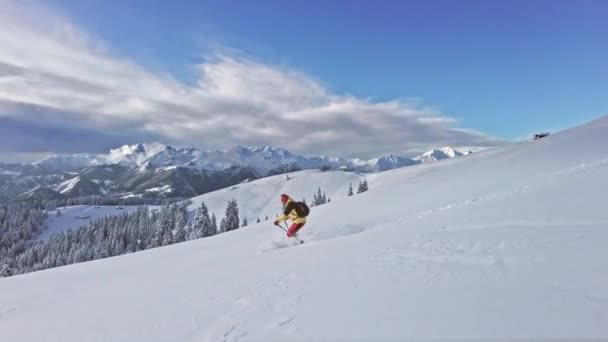 アルプスの新雪の中でフリーライドスキー降下 — ストック動画