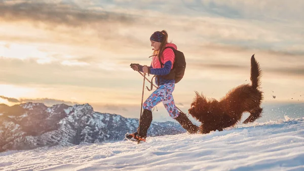 Chica Tortolitos Perro Juegan Nieve Durante Una Caminata Invierno — Foto de Stock