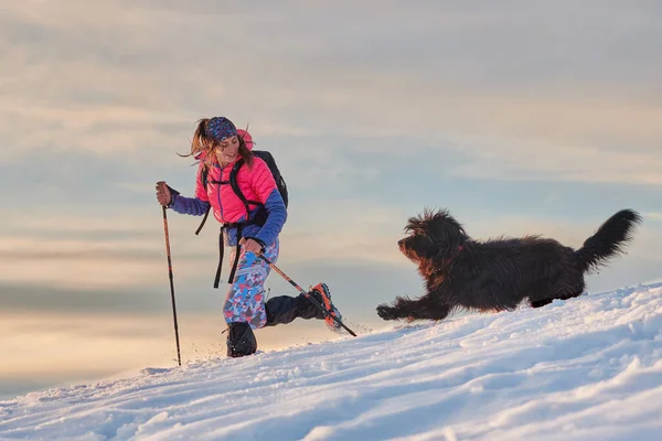 Chica Durante Paseo Nieve Con Gran Perro Amor — Foto de Stock