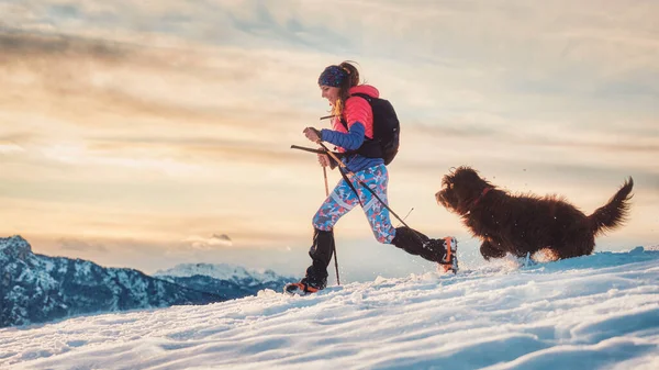 Karda Alp Yürüyüşü Yaparken Köpeğiyle Birlikte Sportif Bir Kız — Stok fotoğraf