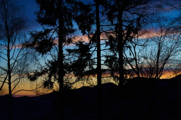 Paesaggio Alberi Silhouette Sulle Colline Dopo Tramonto — Foto Stock