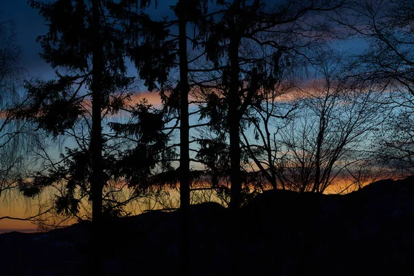 Czerwony Niebieski Zachód Słońca Kolory Drzew Siulette — Zdjęcie stockowe
