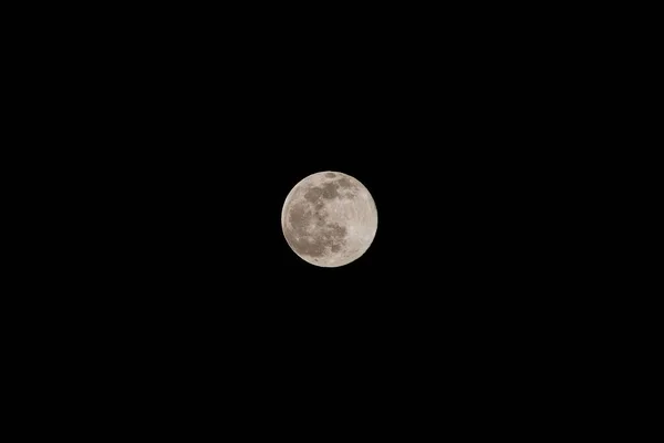 Полная Луна Темном Небе — стоковое фото