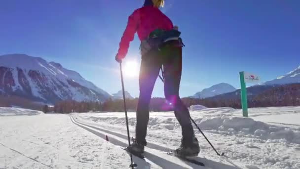 Una Mujer Practica Esquí Fondo Las Pistas — Vídeos de Stock
