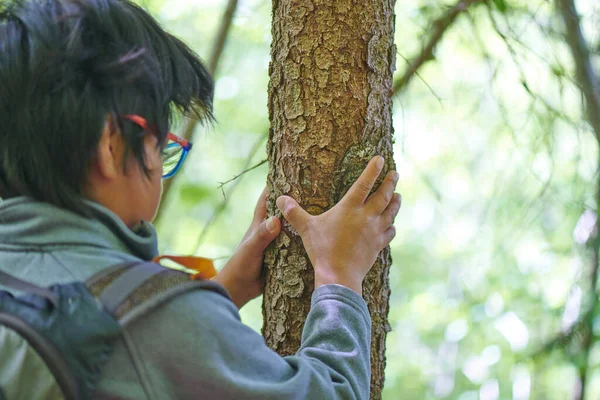 Tree Hugging. A child touches a plant with hands