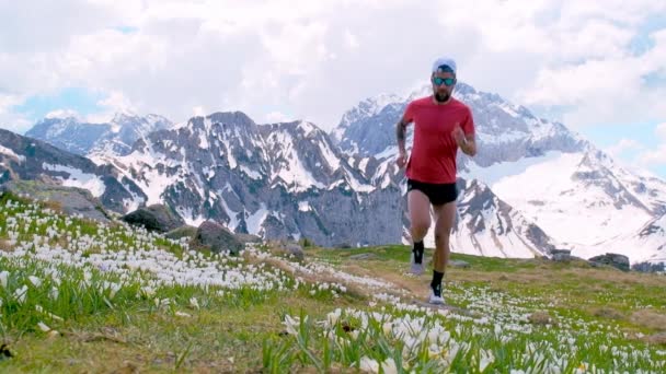 Horský Běžec Květinách Jaře Zpomaleném Filmu — Stock video