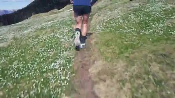 Runner Mountains Path Flowers Spring — Stock Video