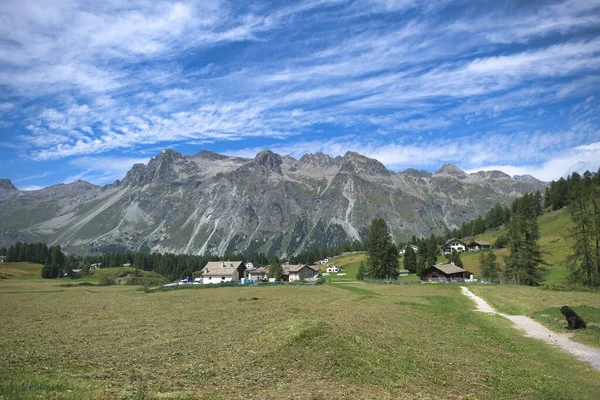 Glimpen Van Val Fex Zwitserse Alpen — Stockfoto