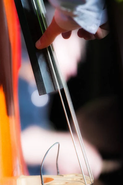 Detail Van Contrabassist Tijdens Show — Stockfoto