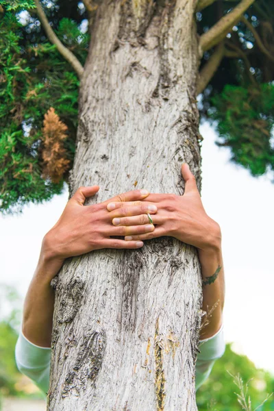 Baum umarmt — Stockfoto