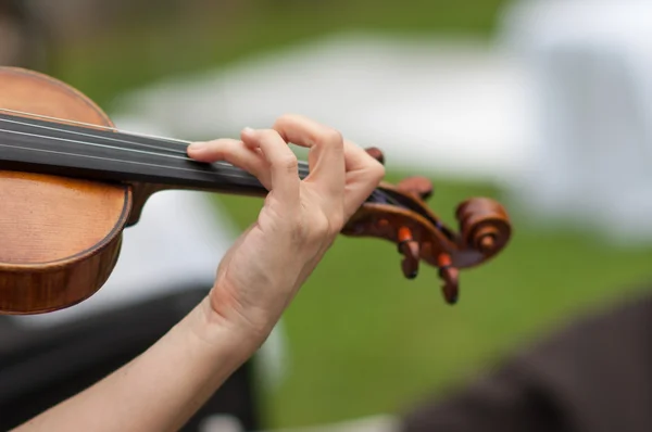 Violinist — Stock Photo, Image