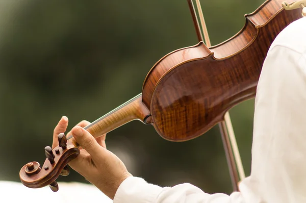 Violinist — Stock Photo, Image