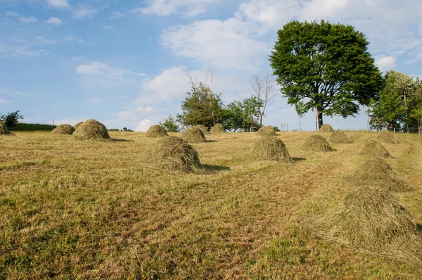 Hay bales during the autumn season — Stock Photo, Image