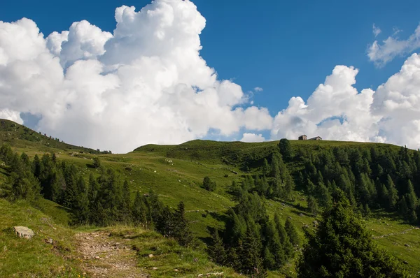 Almhütte — Stockfoto