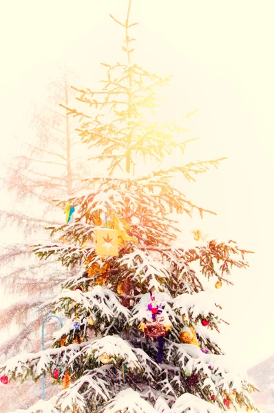 Venkovní vánoční strom — Stock fotografie