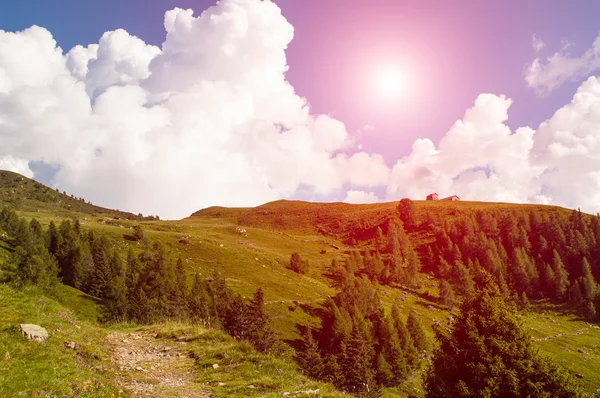 Альпийская хижина — стоковое фото