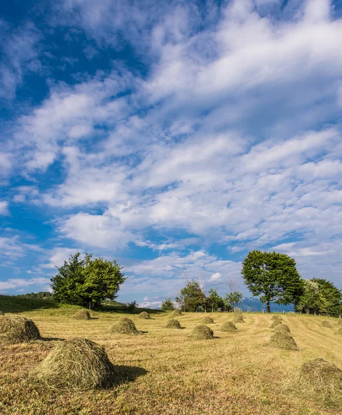 Hay Bale hand made — Stock Photo, Image