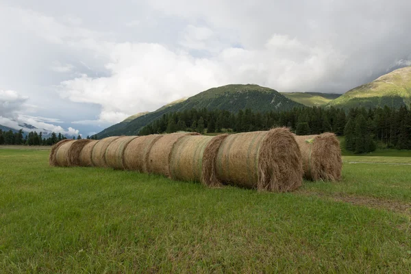 Hay Bale hand made — Stock Photo, Image