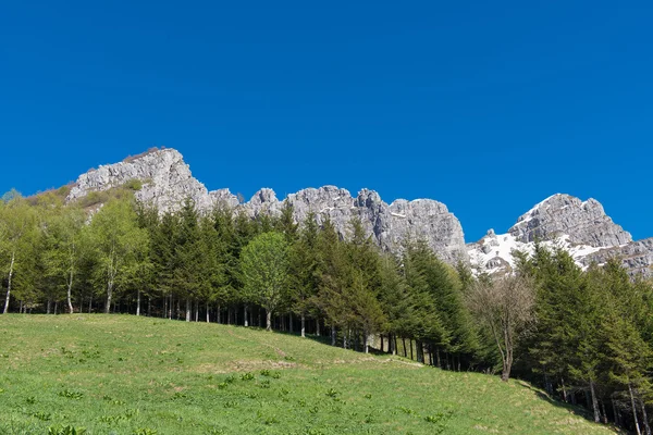Ιταλική ασβεστολιθικά βουνά των Άλπεων ανωτέρω εγκαταστάσεις και οι χορτοτάπητες — Φωτογραφία Αρχείου
