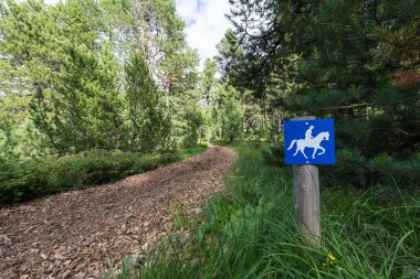 trail for horses clipart