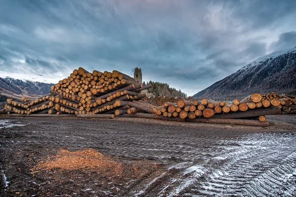 Montaña de madera apilada —  Fotos de Stock