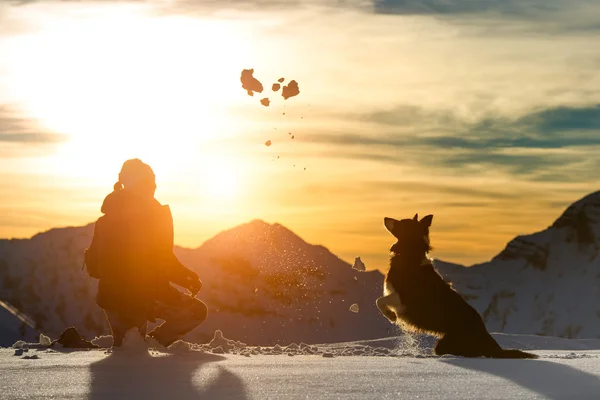 Flicka spelar med border collie i snön — Stockfoto