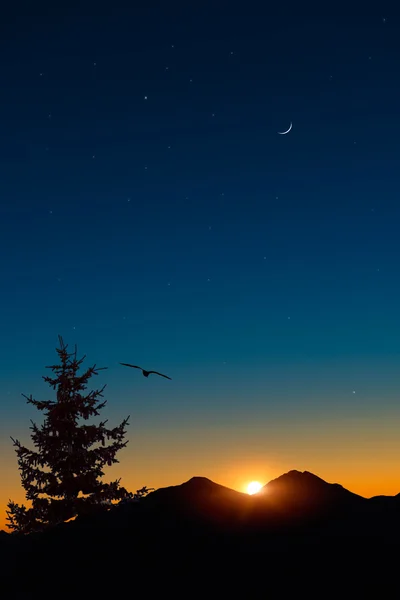 Pássaro em voo ao pôr do sol com a lua — Fotografia de Stock